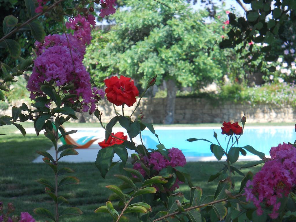 Vila Il Giardino Dei Carrubi Donnalucata  Pokoj fotografie